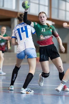 Bild 169 - F HSG Kremperheide/Muensterdorf - ATSV Stockelsdorf 2 : Ergebnis: 47:32